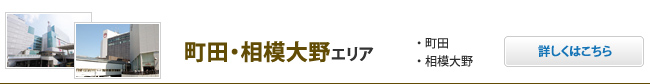 ���c�E���͑��G���A