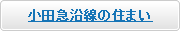 �g�����c�}���ŏZ�܂������T���̕��͂�����@�V�z�E���Â̌ˌ��E�}���V�����Ȃǂ̏������ē����܂��B�@���c�}�����̏Z�܂��h
