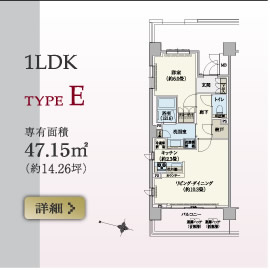 1LDK TYPE E