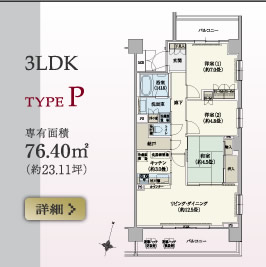 3LDK TYPE P