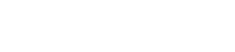 実施企業